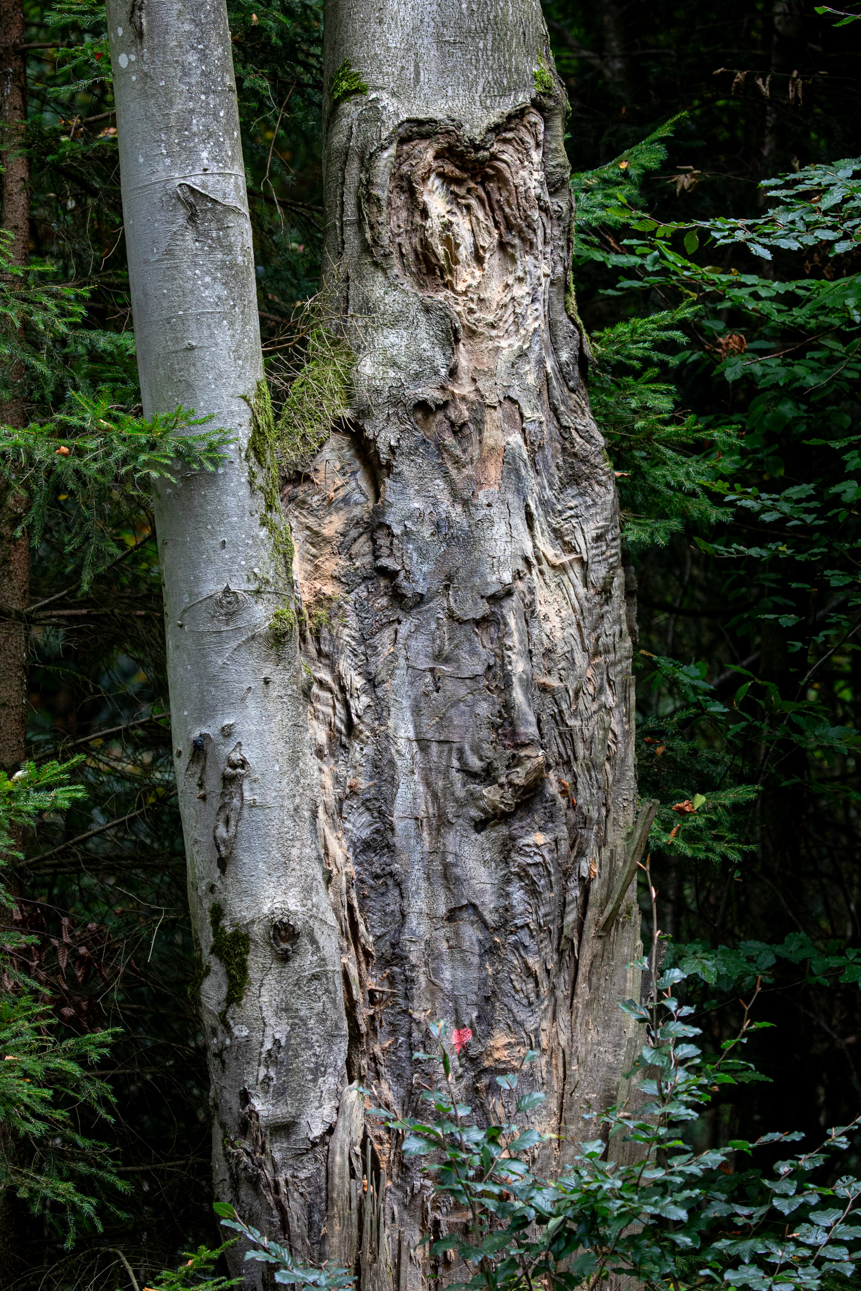 20231014100051 RD4 4635